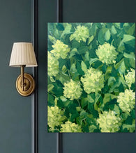 Load image into Gallery viewer, In the Limelight