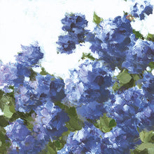 Load image into Gallery viewer, Brant Point