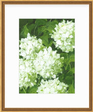 Load image into Gallery viewer, Sublime Print