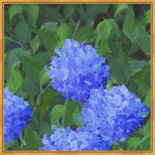 Load image into Gallery viewer, Morning Light