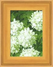 Load image into Gallery viewer, Sublime Print