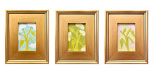 Load image into Gallery viewer, Lemon Lime Posset
