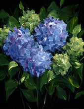 Load image into Gallery viewer, Covering
