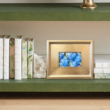 Load image into Gallery viewer, Hydrangea Mini 8
