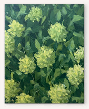 Load image into Gallery viewer, In the Limelight
