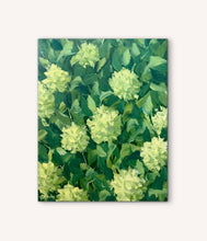Load image into Gallery viewer, In the Limelight
