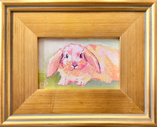 Load image into Gallery viewer, Bun Bun Mini No. 1
