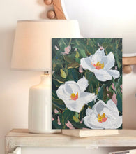 Load image into Gallery viewer, Newness
