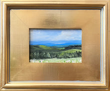 Load image into Gallery viewer, Blue Ridge Mini 2

