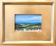 Load image into Gallery viewer, Blue Ridge Mini 4
