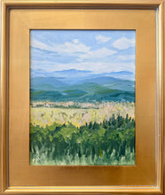 Load image into Gallery viewer, The Narrow Road
