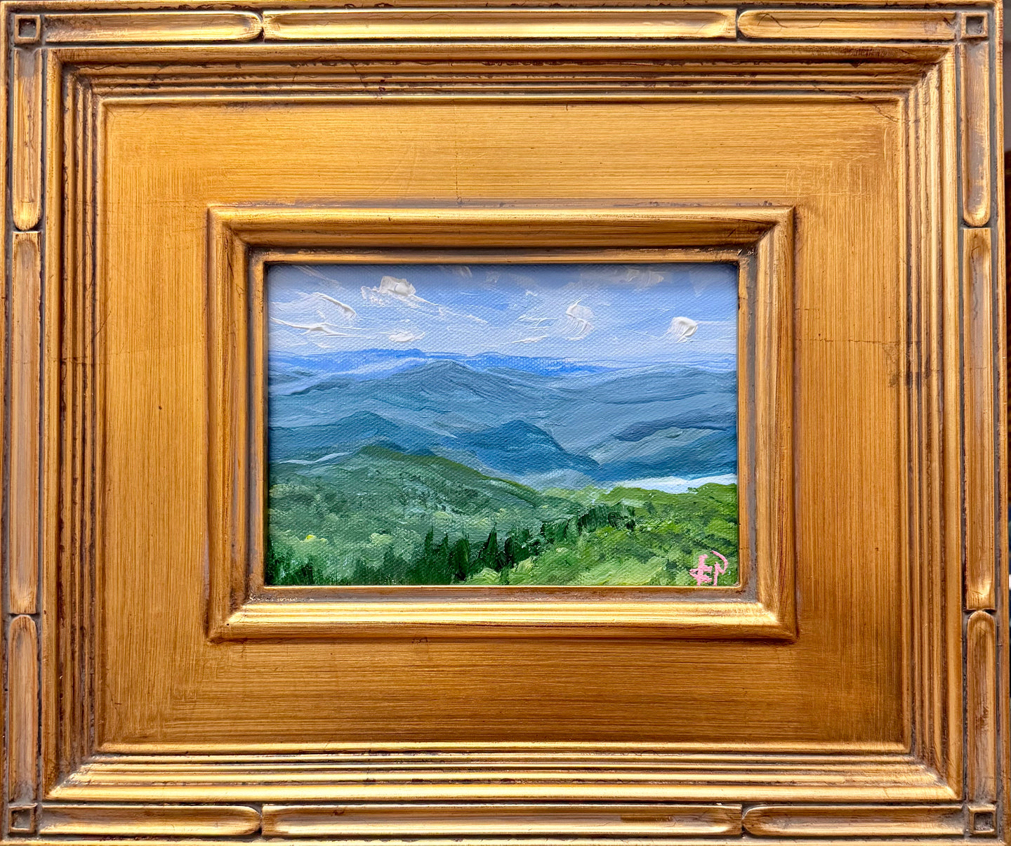 Mountain Mini 2
