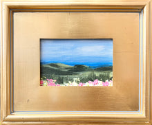 Load image into Gallery viewer, Blue Ridge Mini 3
