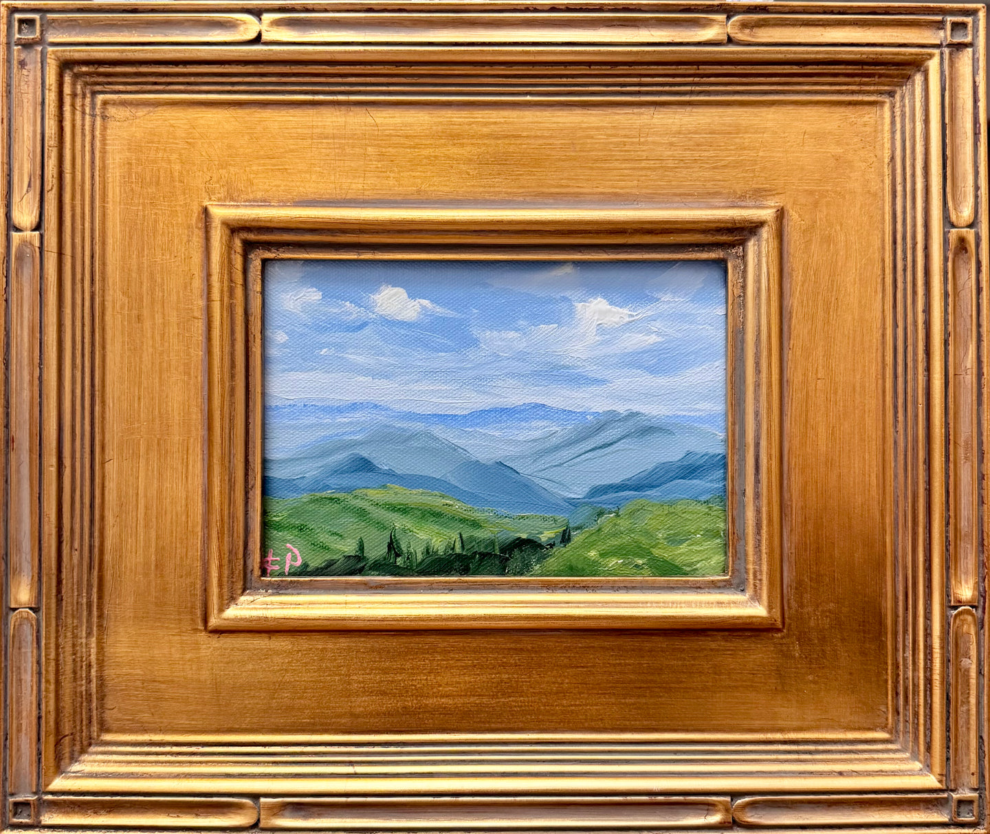 Mountain Mini 1